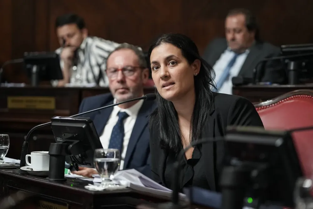 Pliego Kicillof Senado Bonaerense