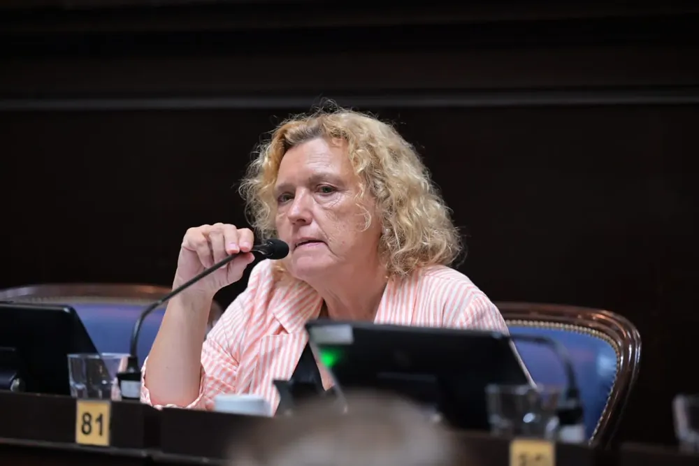 Anahi Bilbao, diputada de la UCR