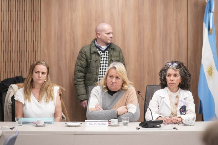 El Garrahan “se está desangrando” denuncias médicas y debate legislativo