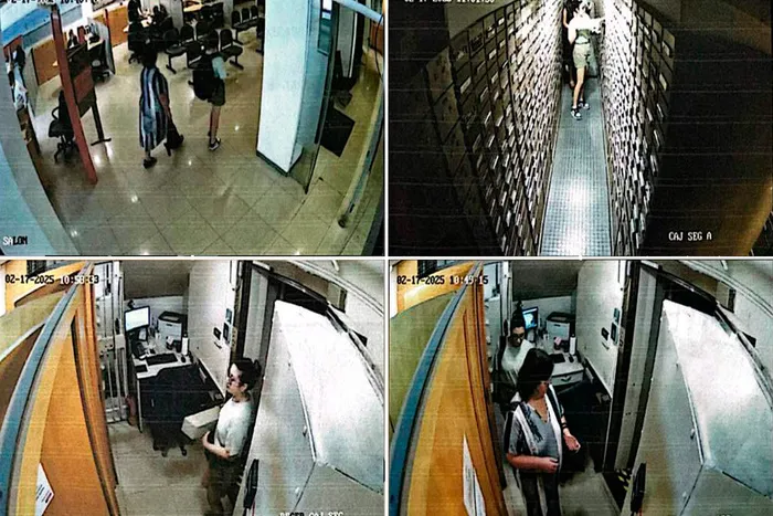 Cámaras de Seguridad, Novelli