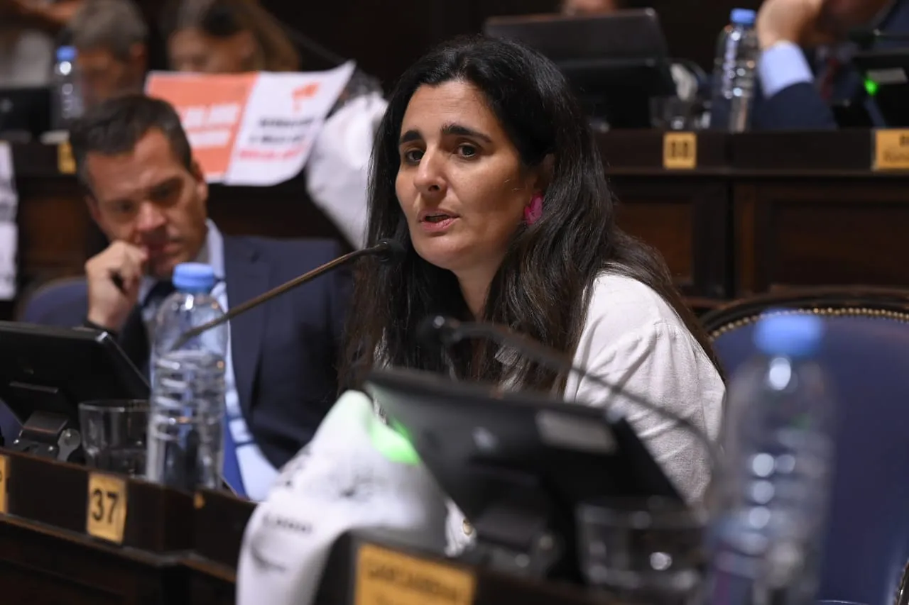Maricel Etchecoin, diputada de la Coalición Cívica