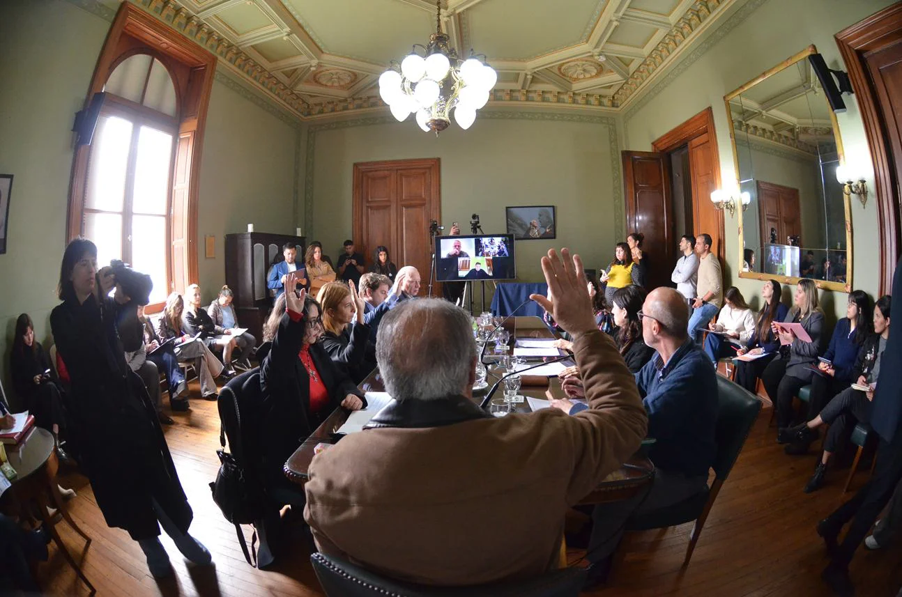 Comisión de Salud Pública en el Senado bonaerense.