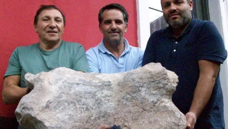 Hallaron restos fosiles de un perezoso gigante de 700.000 años de antiguedad en San Pedro