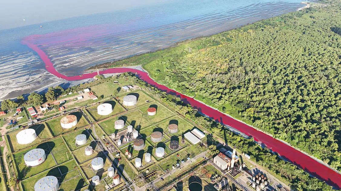 Escándalo ambiental: exigen sanciones por la contaminación del Sarandí