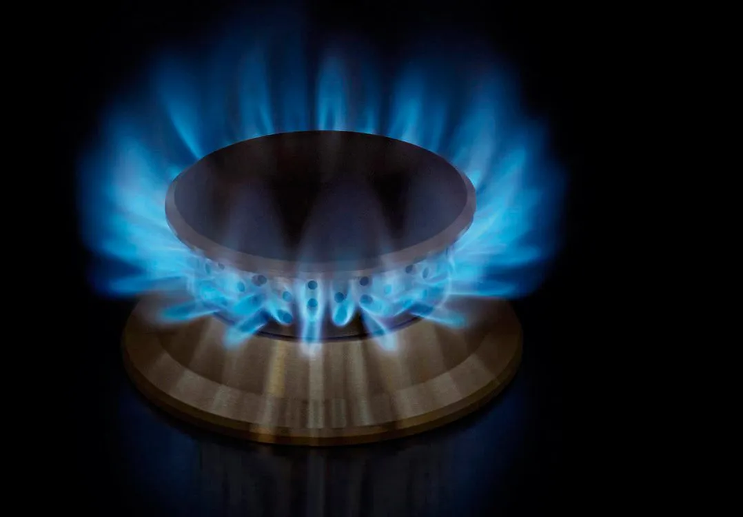 Provisión del servicio de gas en hogares