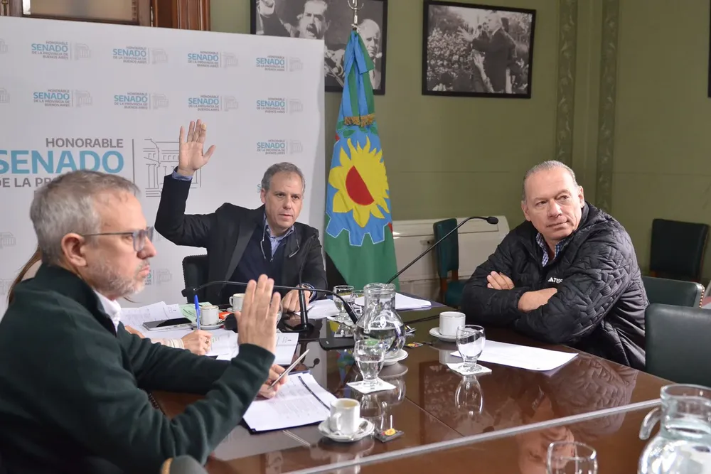 Comisión de Modernización del Estado Senado BA