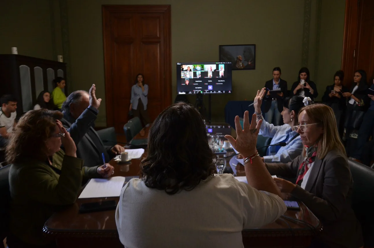 Comisión de Igualdad Real de Trato y Oportunidades y Discapacidad, en sesión