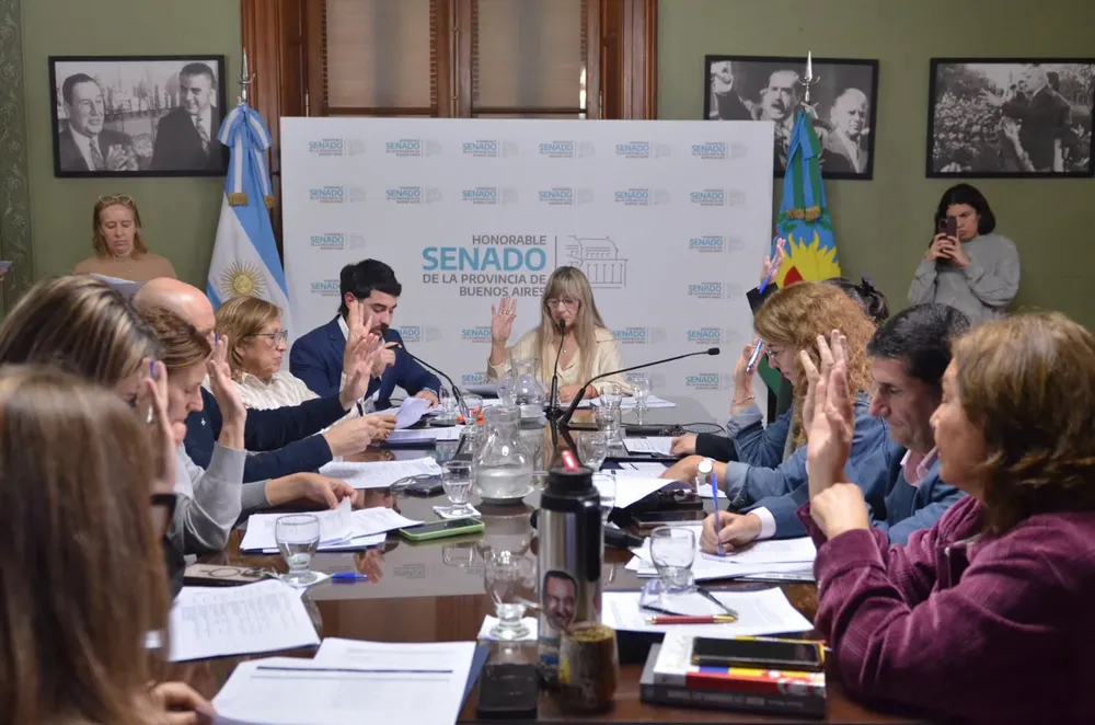 Laura Clark, comisión de Educación
