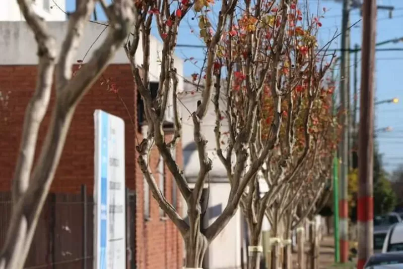 Una niña de 2 años fue asesinada a balazos durante un tiroteo en Ensenada