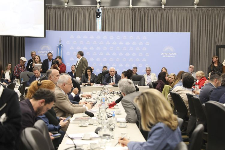 Plenario-de-Defensa-Nacional-y-Relaciones-Exteriores-dictamen