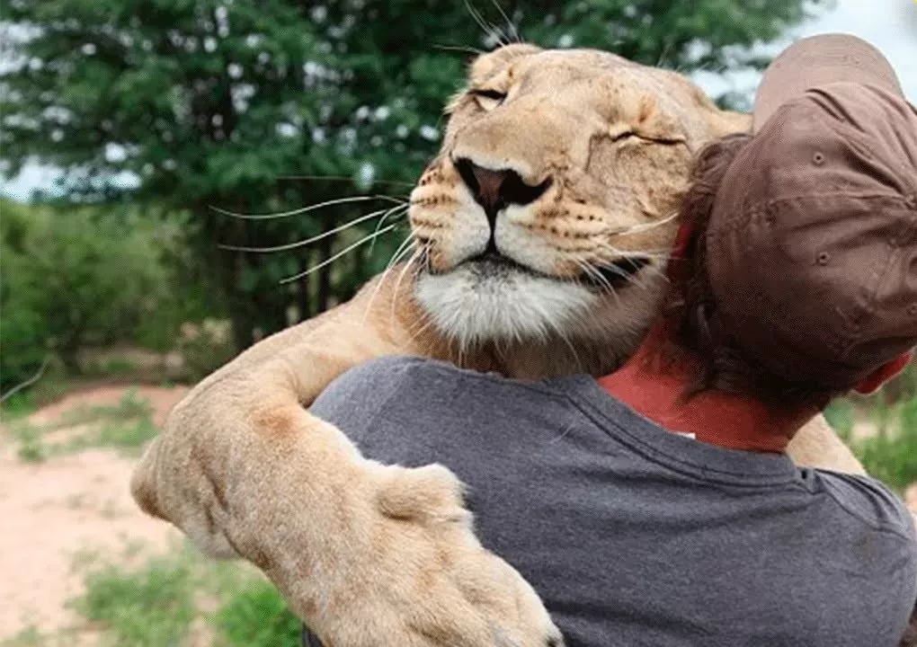 Héroes: Los 3 videos más impactantes de animales salvando la vida de humanos