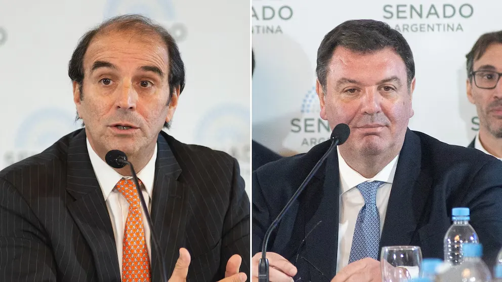 Lijo Mansilla Senado