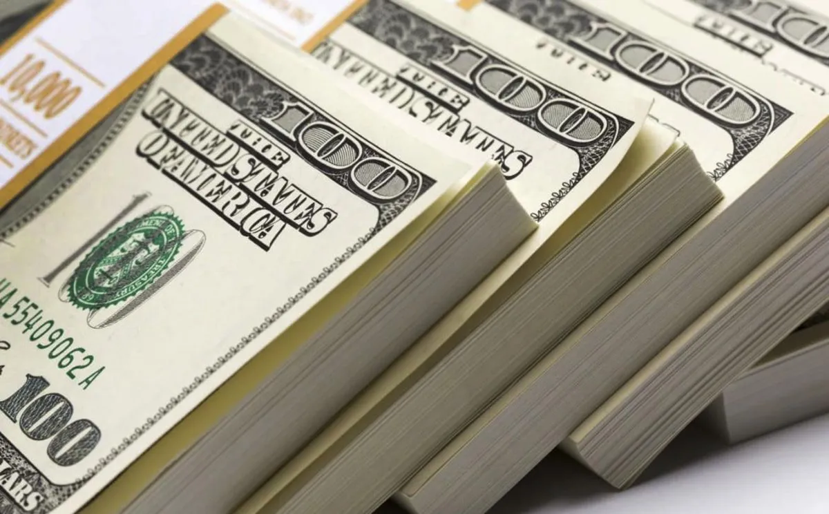 Meta cumplida: vencen esta semana US$2.622 millones que se pagaran al FMI con reservas