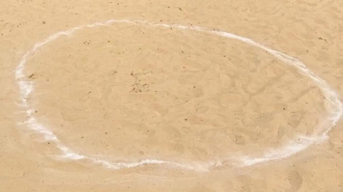 Crearon un demarcador ecologico para delimitar distancias sobre la arena en las playas