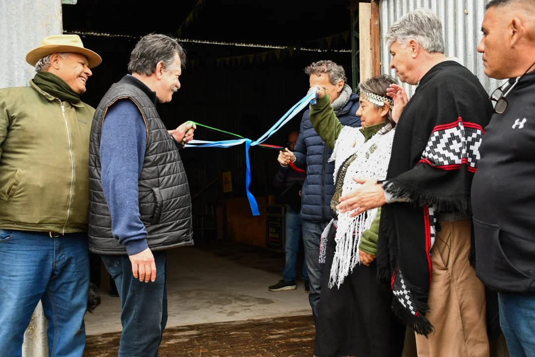 Barenghi pachamama 2