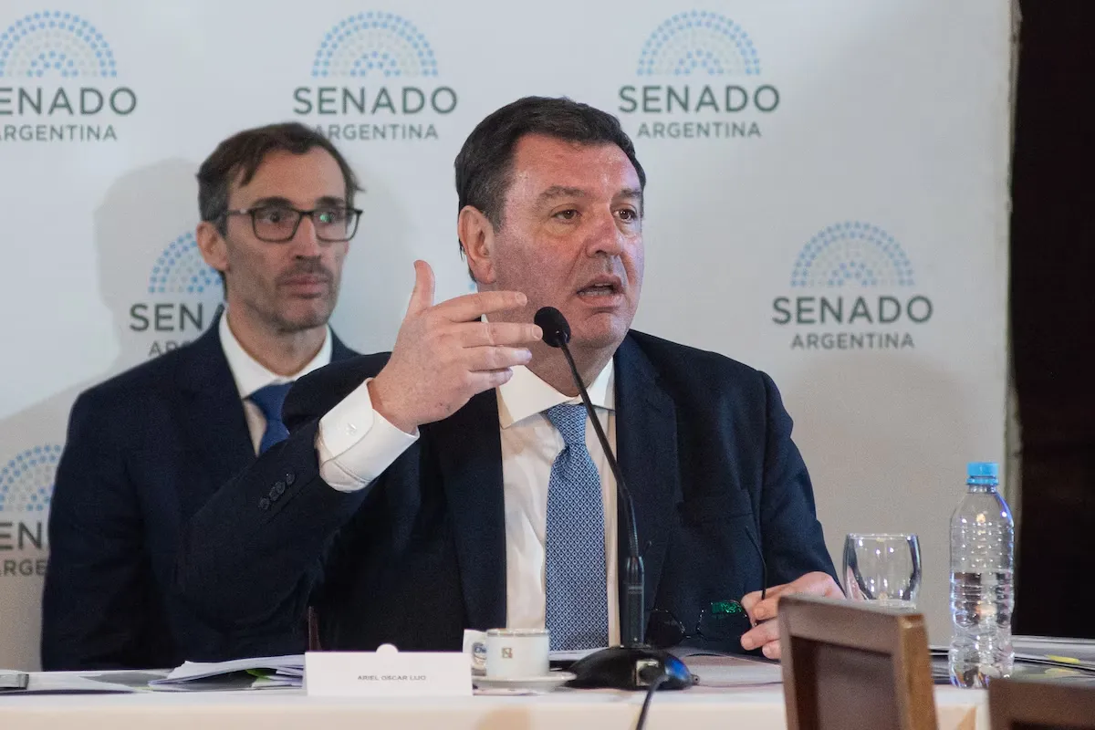 Lijo Senado Argentina