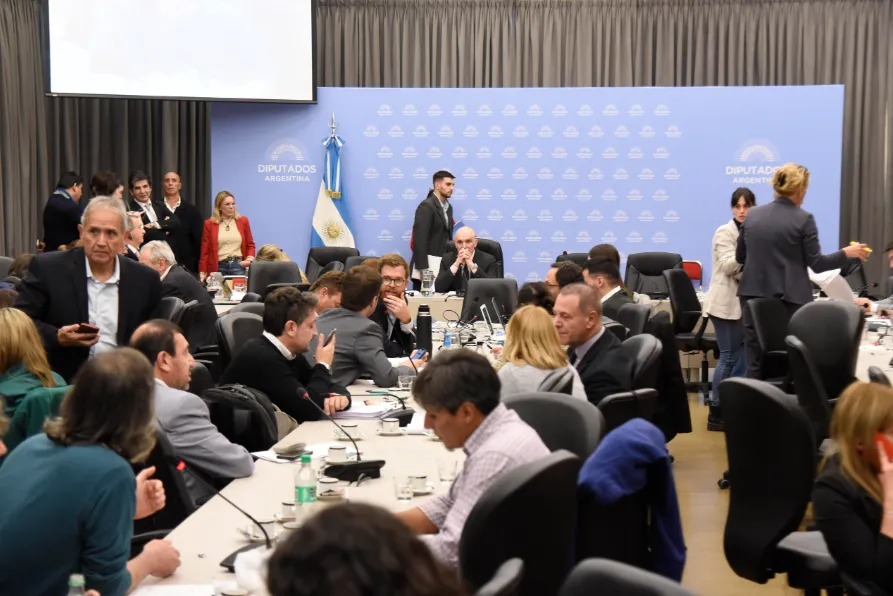 Comisión de Presupuesto y Hacienda - Diputados 2024