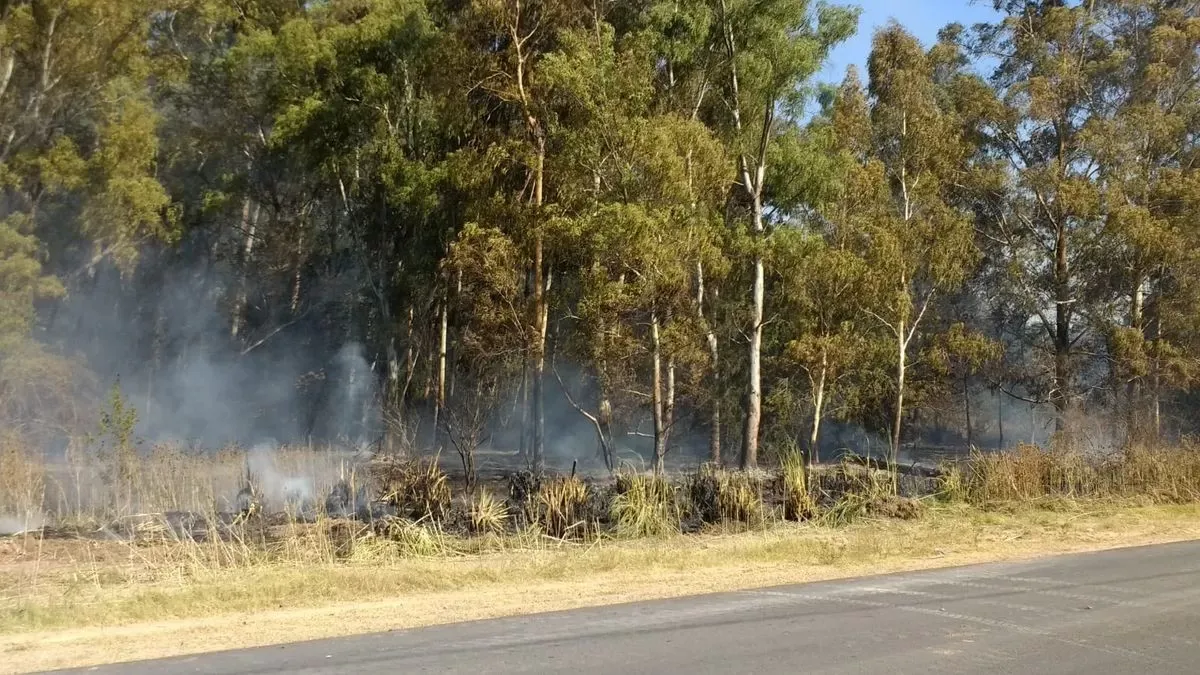 Incendios en Ezeiza: Hay quince dotaciones de bomberos trabajando