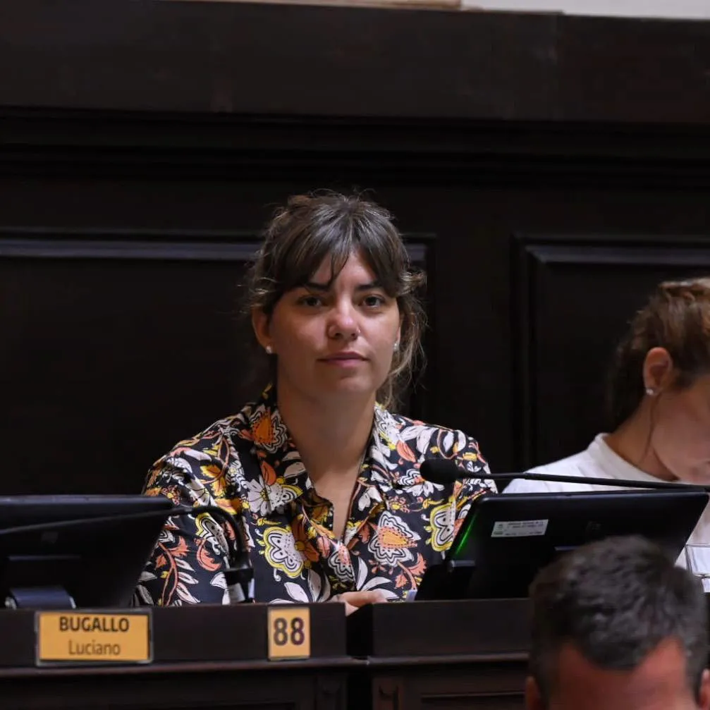 Romina Braga, diputada de la Coalición Civica