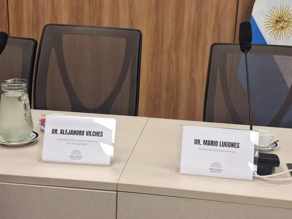 Comisión ANDIS sillas vacias