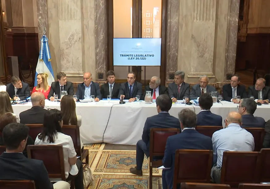 comision bicameral tramite legislativo