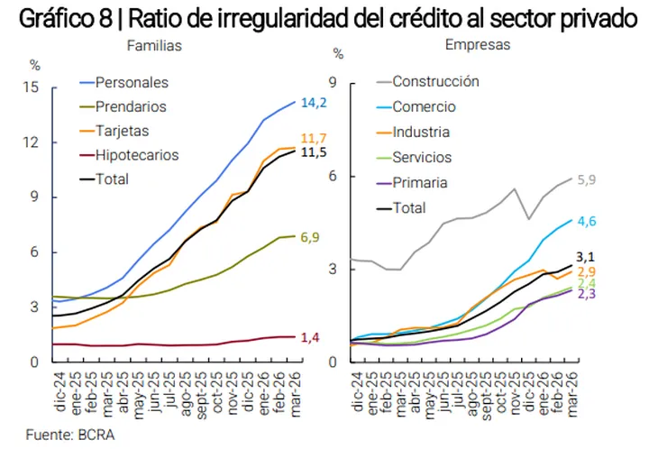 Irregularidad del crédito al sector privado (BCRA).