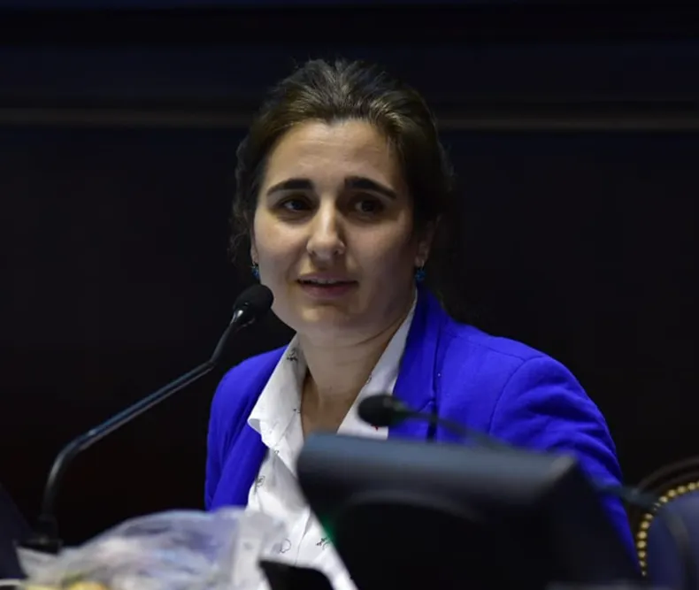 ENTREVISTA: La diputada Etchecoin cree que en materia de seguridad “hay demasiado show y poco resultado”