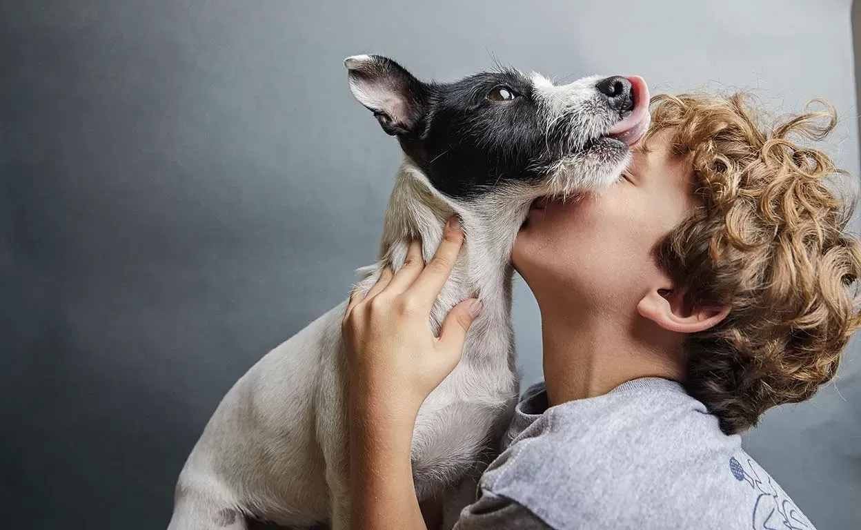 Día Mundial del Perro: Argentina, un país mascotero
