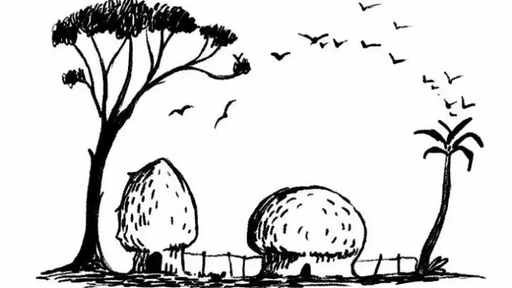 6 ilusiones ópticas que revelan mucho sobre tu personalidad