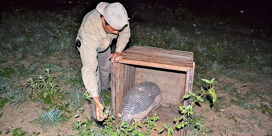 Libertad Avanza, la unica fuerza en Diputados que voto en contra de ampliar parques nacionales