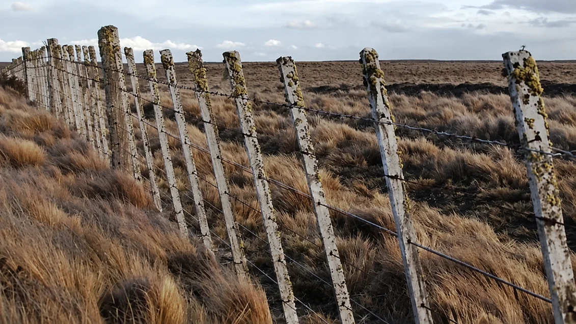 Ley de Tierras: crece el rechazo bonaerense al proyecto de Milei