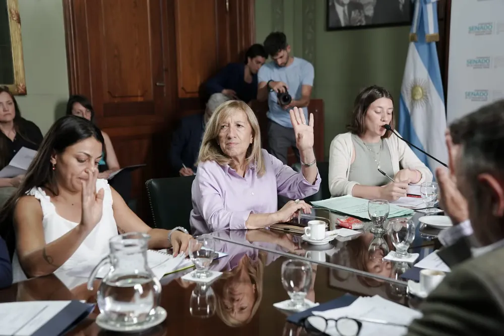 Rosa Martínez, senadora de UP