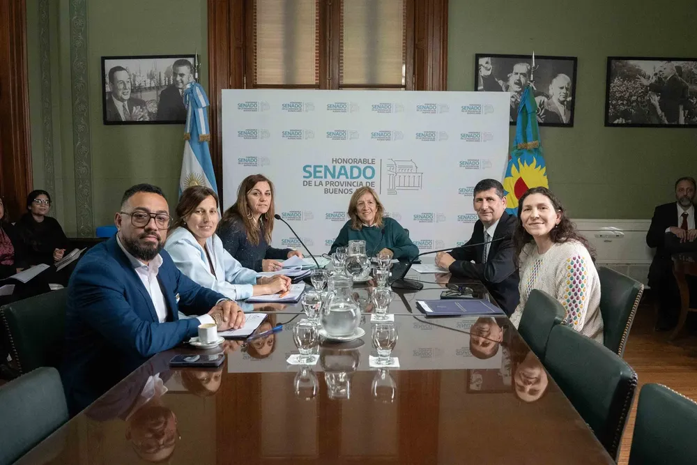 Comisión de Trabajo y Legislación Social del Senado bonaerense