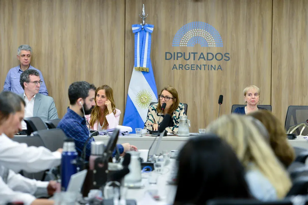Diputados COMISION