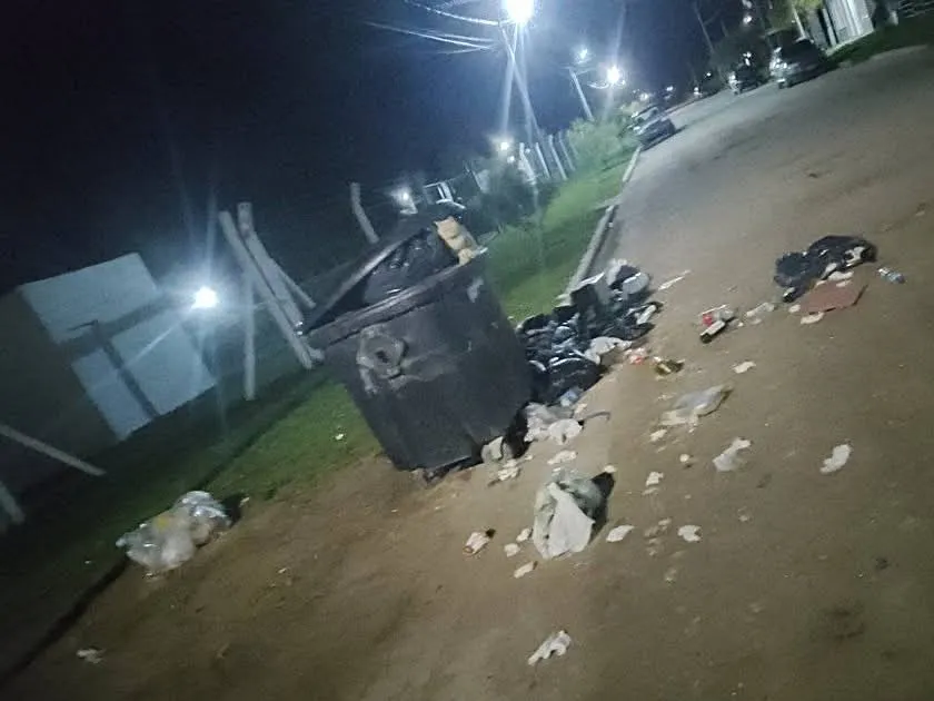 Crecen los reclamos vecinales por falta de mantenimiento y limpieza en Lobería.