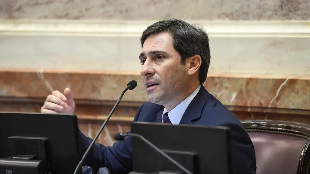 Martín Goerling, senador del PRO.