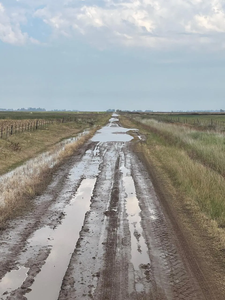 Caminos rurales en Pehuajó