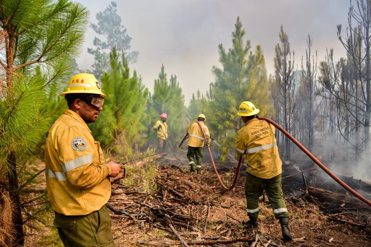 Manejo del fuego en incendio forestal