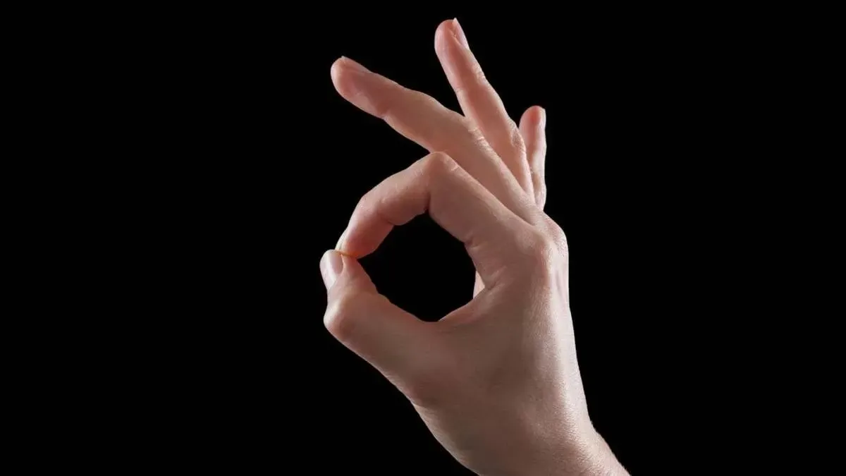 Aprendé a leer tus manos: ¿Qué significan las 5 líneas principales según la quiromancia?