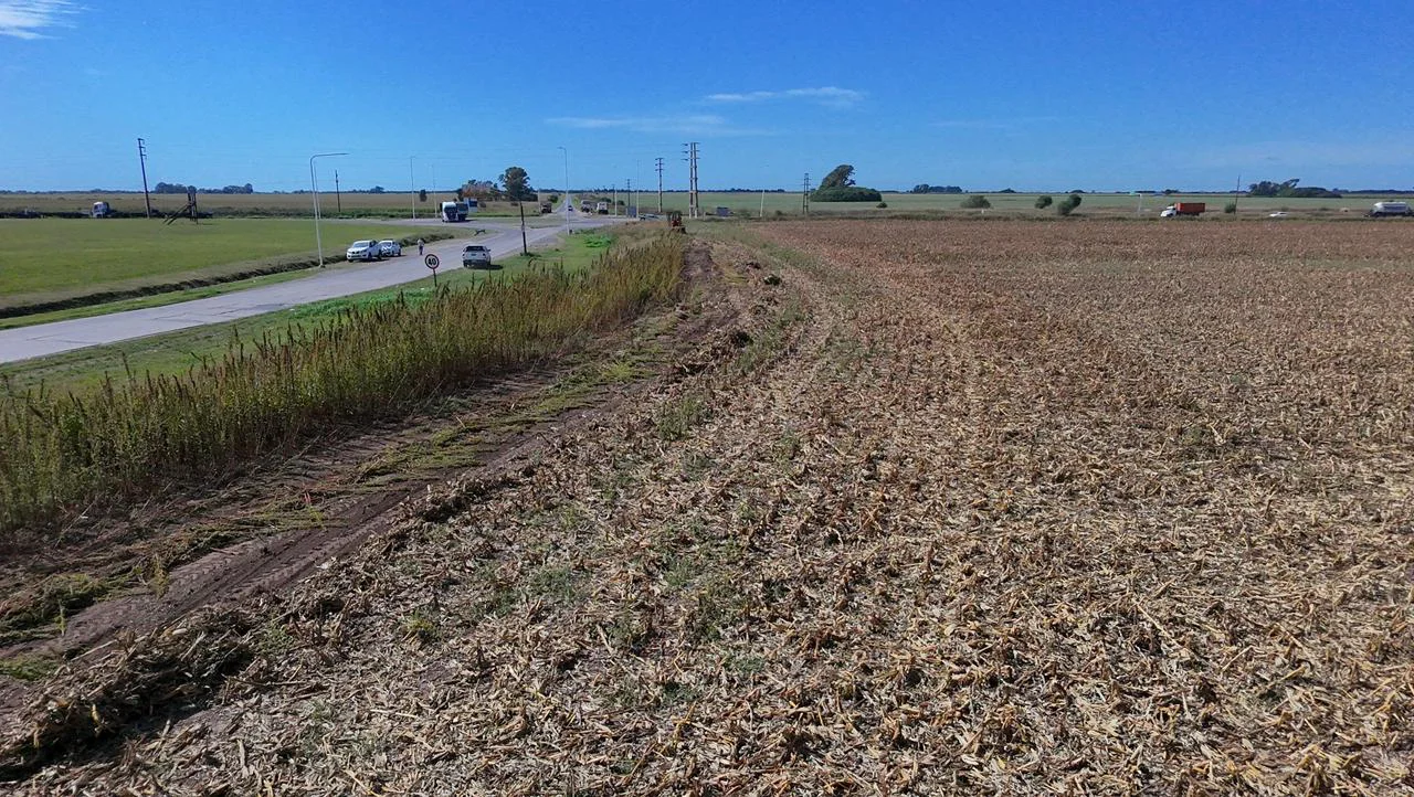 Ramallo recupera predio 2