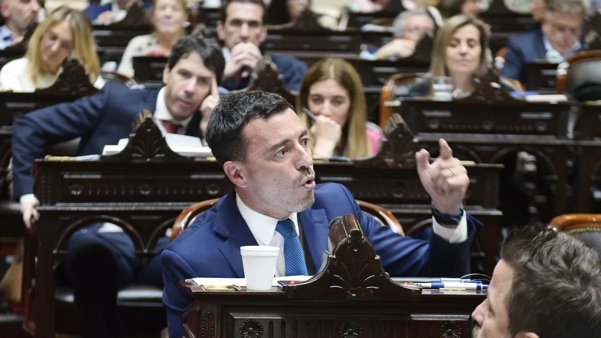 Rodrigo de Loredo, presidente del bloque de la UCR en Diputados.