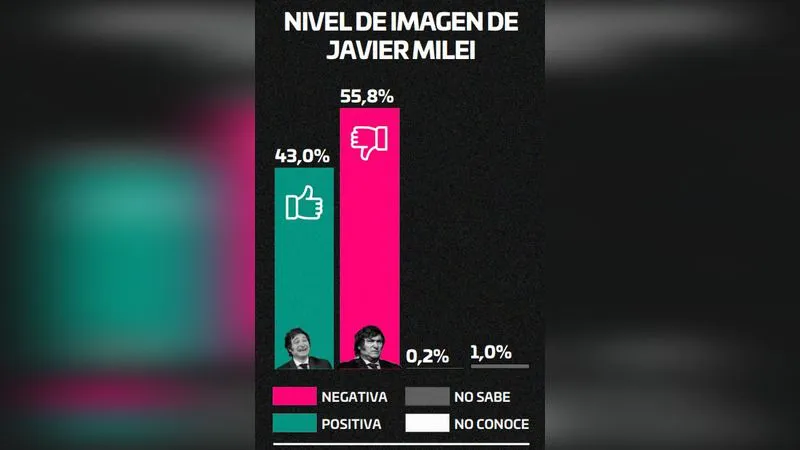Imagen del presidente Milei