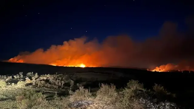 Incendio en campos de Dorrego