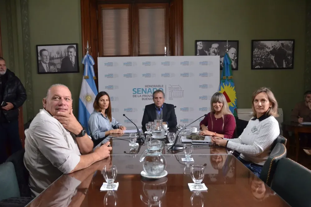 Comisión de Modernización Senado