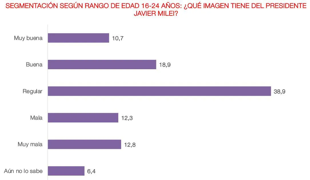 Imagen de Milei entre los jóvenes