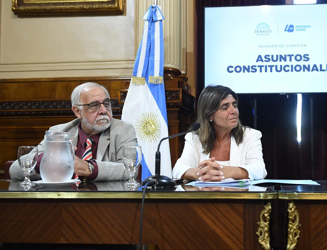 Comisión de Asuntos Constitucionales del Senado de la Nación