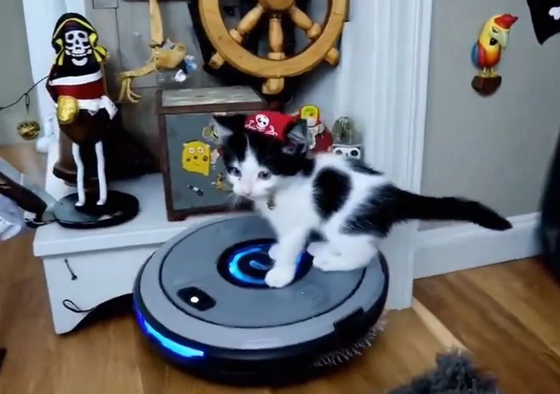 Este gatito nunca existió