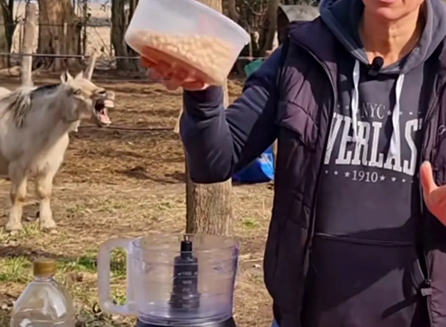 Caballo burlón se roba el show en plena grabación de una receta