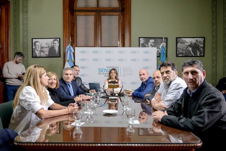 Comisión de Reforma Política Senado PBA