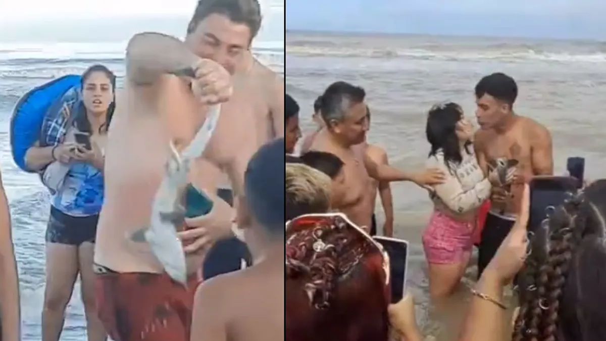 santa-teresita-tiburon-videojpg